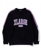 XLARGE PANELED CREWNECK SWEAT