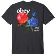 OBEY GROW TOGETHER