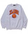 XLARGE COLLEGE LOGO CREWNECK SWEAT